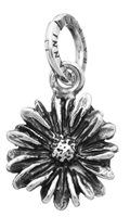 Charm Giovanni Raspini Charms in Argento 06559 - 06559
